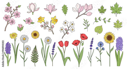 Colorful flowers and leaves illustration.