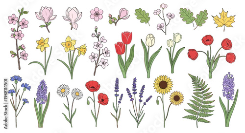 Colorful flowers in various types.