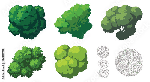 Tree Top View CAD – Landscape & Garden Vector Collection