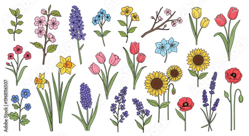 Colorful flowers on white background.