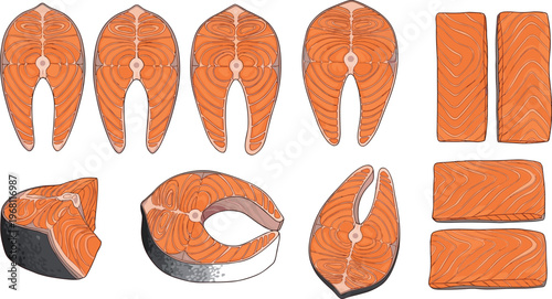 Salmon fish cuts set including fillet steak and slices fresh seafood preparation ingredient illustration for cooking menu design vector collection