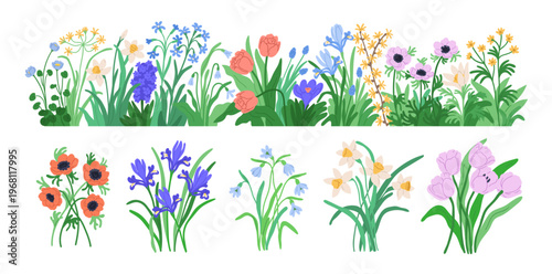 Spring floral blossoms set. Garden and field blooms, wildflowers. Summer plants, nature border decoration and anemone, daffodil, tulip bouquets. Flat vector illustrations isolated on white background