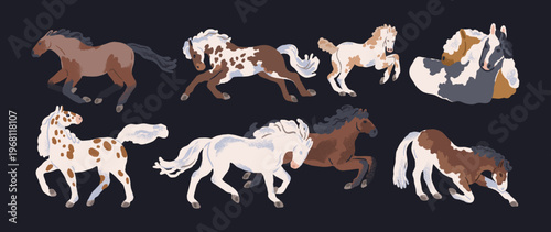 Horses in action, galloping, running, walking, stretching movements, poses. Spotted equine animals in textured doodle hand-drawn style. Cute stallion breeds set. Isolated flat vector illustrations