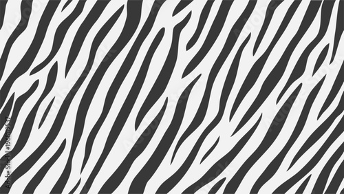A striking black and white zebra stripe pattern fills the entire frame.