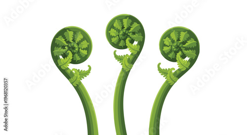 Vibrant green fiddlehead ferns unfurling gracefully, symbolizing fresh beginnings and natural elegance