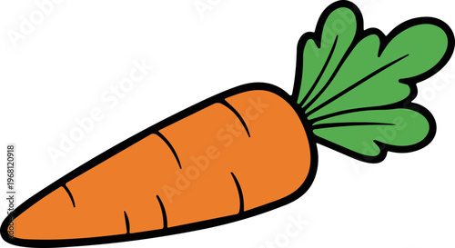 Fresh orange carrot vegetable root.