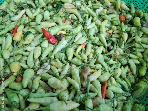 Background of a pile of fresh green chilies sold at the market, there are also some red chilies among the pile of fresh green chilies