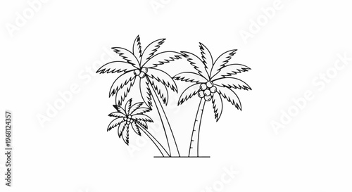 Stylized black and white illustration of three palm trees with coconuts