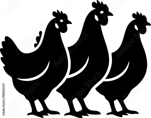 Three chickens standing side by side farm animals poultry domestic birds rural life farmyard scene.