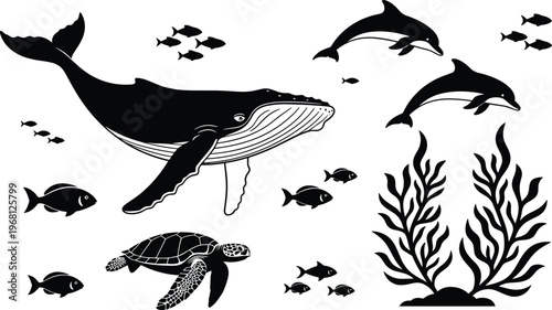 Marine life ecosystem illustration, whale, dolphins, sea turtle, fish group, seaweed coral, underwater biodiversity vector art, ocean wildlife harmony design