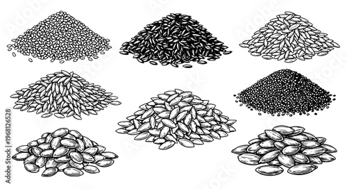 Detailed seed piles in engraving line style for botanical and food design