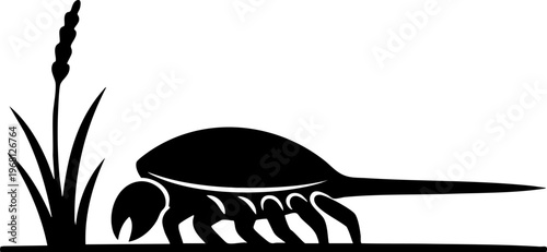 Water scorpion with plant, aquatic insect, nature illustration, detailed silhouette, scientific representation.