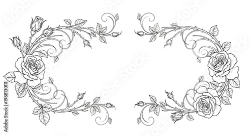 A detailed diagram of biological tissue and cellular structures under a microscope