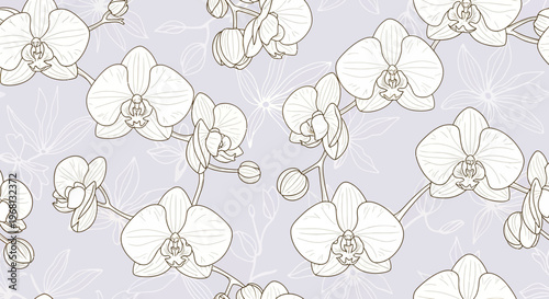 Elegant Orchid Floral Pattern Seamless Vector Background