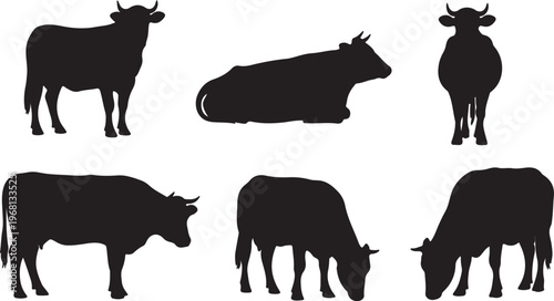 Silhouettes of cows in various stances and positions