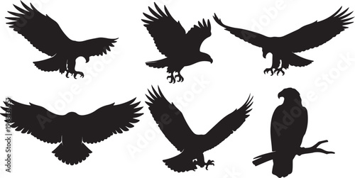 Five black silhouettes of birds of prey in dynamic flight and perched poses