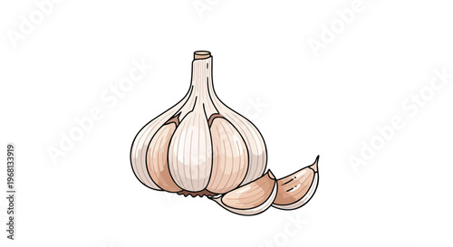 Fresh garlic bulb illustration with peeled cloves, a vibrant and essential culinary ingredient perfect for healthy cooking concepts and delicious