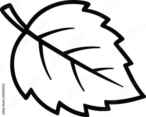 Detailed illustration of a single leaf.