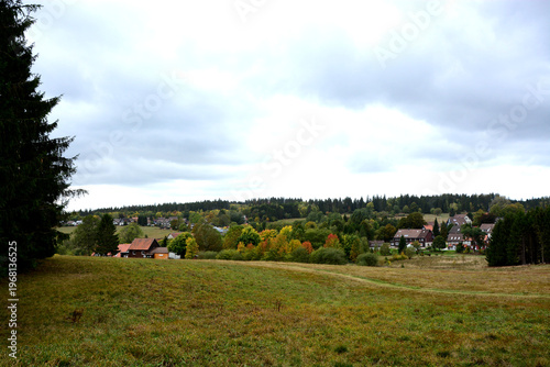 Dorf im Mittelgebirge, Harz