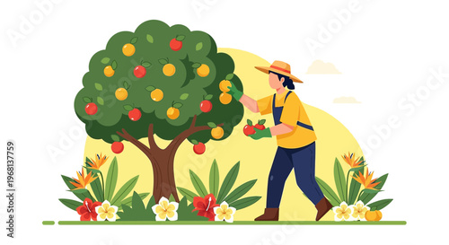 Farmer Harvesting Fruit from Tree, Organic Farming, Healthy Lifestyle