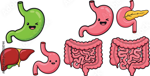 Cute cartoon human internal digestive system organs vector set featuring happy stomach, liver, intestines, and pancreas characters isolated on white background.