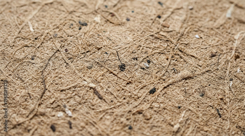 Recycled Kraft Paper Texture.