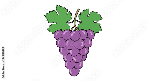 Vibrant purple grapes illustration with fresh green leaves depicting healthy fruit and harvest season