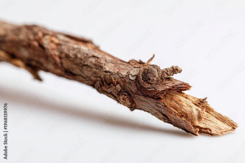 Fototapeta premium Isolated fragment of a branch, weathered bark on white backdrop