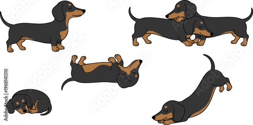 Cute dachshund dog cartoon characters set with different poses, playing, sleeping and stretching, funny pet animal vector illustration collection isolated on background