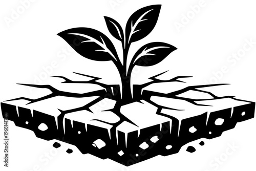 Minimal Plant Root System Breaking Soil Surface