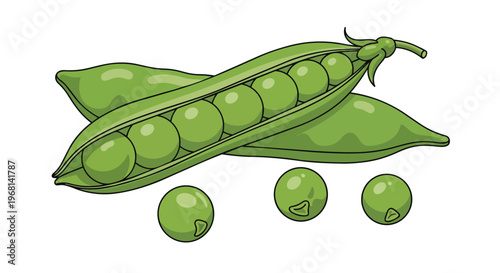 Freshly harvested vibrant green garden peas bursting from their natural pod, a wholesome food illustration on white