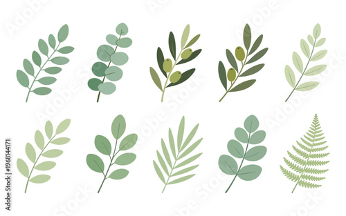 Set of floral leaves collection