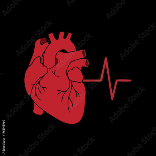 Red Human Heart with Electrocardiogram Line on Black Background.