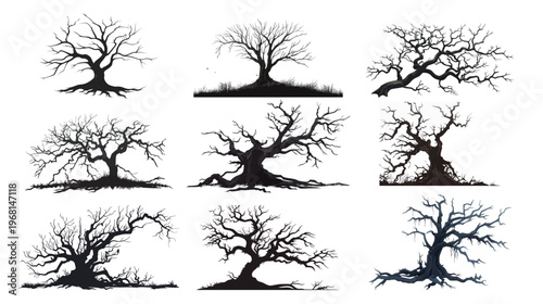 Leafless old spooky tree, eerie bare tree silhouette vector illustration isolated on white background