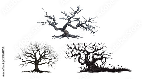 Leafless old spooky tree, eerie bare tree silhouette vector illustration isolated on white background