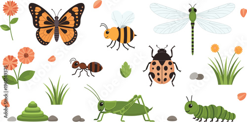 Hand-drawn Insects and Flowers with Butterflies, Bees, Dragonflies, Ants, Grasshoppers, and Caterpillars for Nature and Wildlife Illustrations