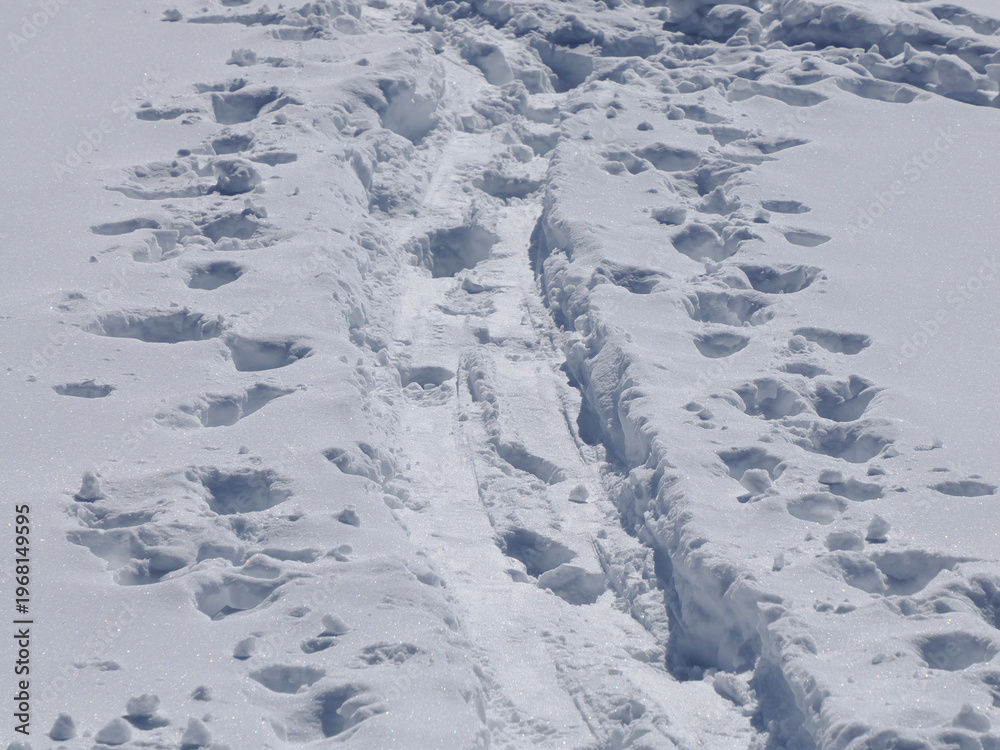 Fototapeta premium alpine ski tracks on the snow in dolomites mountains