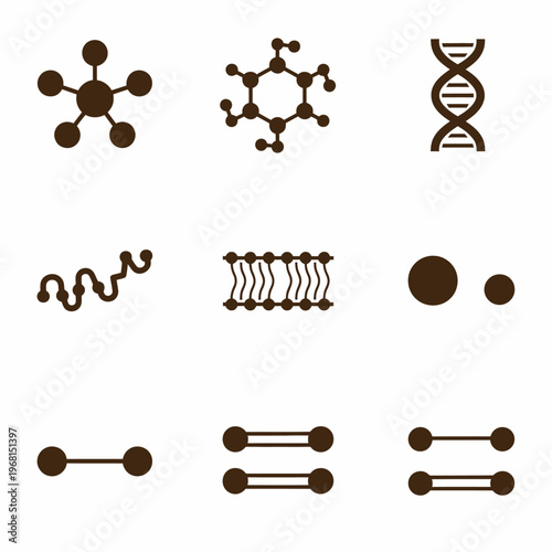 Molecular structures and chemical bonds.