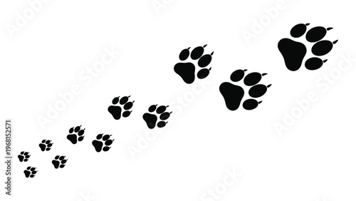 A series of black animal paw prints march across a white background creating a striking visual pattern silhouette high quality professional
