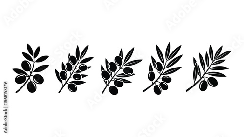 A collection of olive branches with dark rounded fruits are displayed in a minimalist black and white silhouette high quality professional