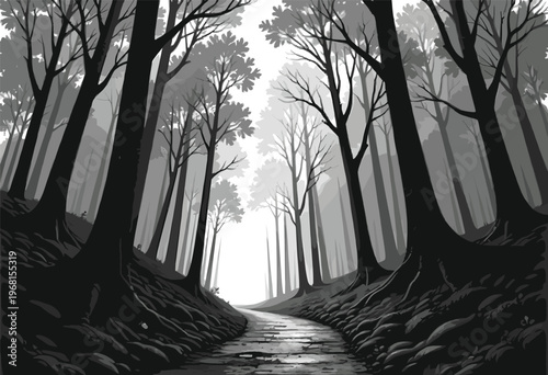 Monochromatic forest path looking uphill between tall trees with dramatic shadows and light, intense black and white woodland scene with strong contrast and depth ideal for graphic backgrounds.