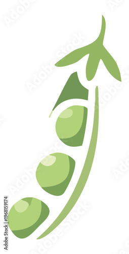 Green pea pod illustration