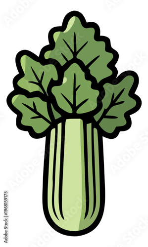Celery stalk illustration vector