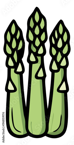 Asparagus spears illustration vector