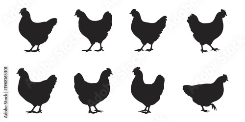 Hen Chicken Silhouette Icons Farm Poultry Bird Domestic Animal Rural Agriculture Vector Illustration Collection Isolated Background