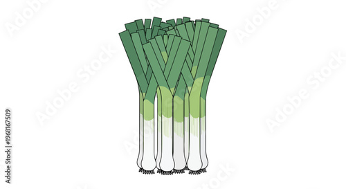 Freshly harvested vibrant green and white leeks bundled together illustration showcasing healthy culinary ingredients for cooking and nutritious