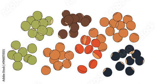An artistic collection of various colorful legumes and pulses presented in distinct groups highlighting diverse culinary applications and rich