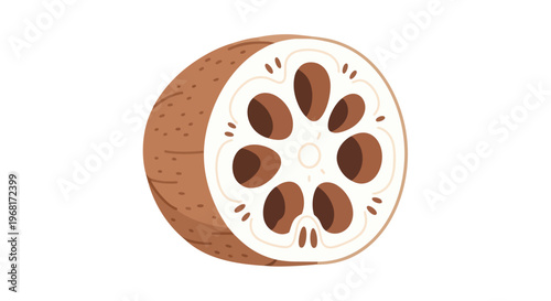 Stylized cross-section of a lotus root revealing its distinctive holes, isolated on a clean white background