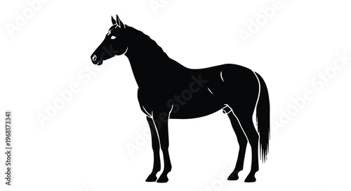 Black silhouette of a horse standing in profile