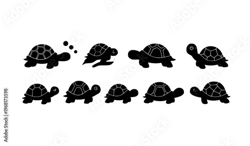 Minimal cute turtle vector set with calm smiling sea and land tortoise characters in modern flat style
